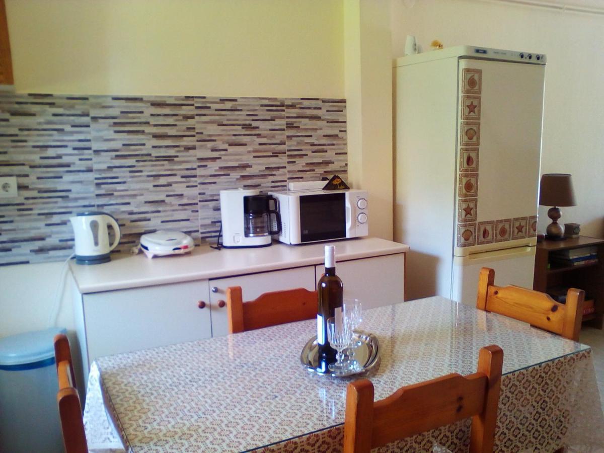 Galini Mytikas (Epirus) Exterior foto